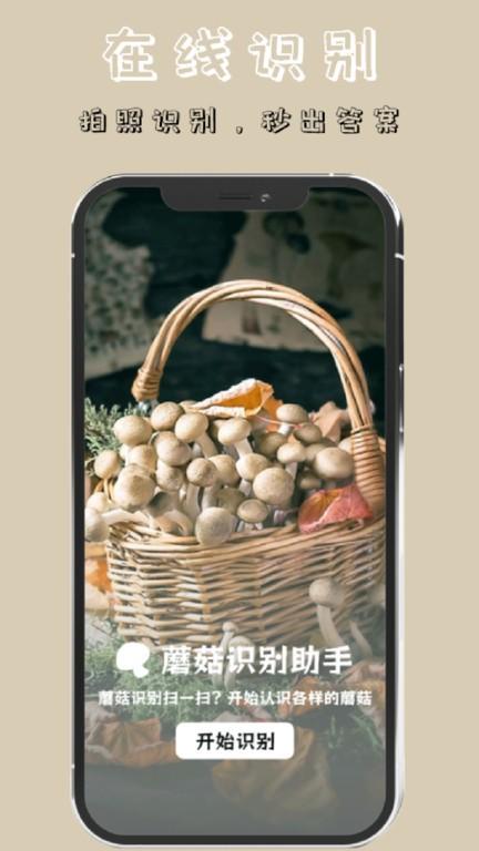 蘑菇识别高手app下载,蘑菇识别高手,识别app