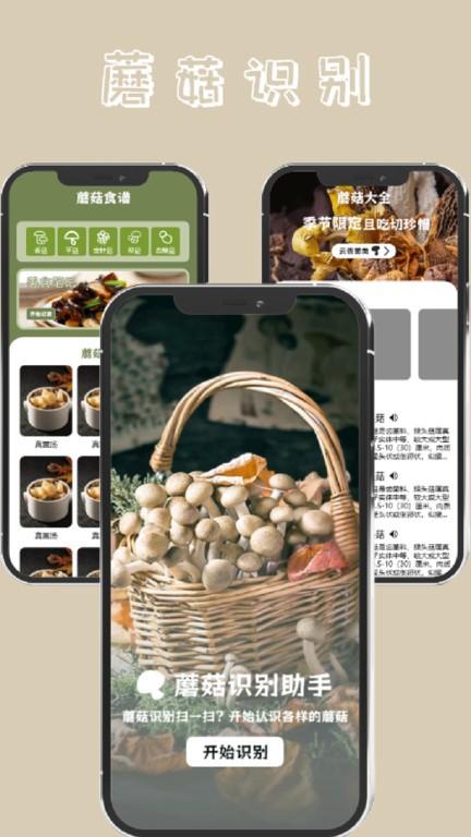 蘑菇识别高手app下载,蘑菇识别高手,识别app